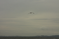 19.08.2013 12:03:36
Sassnitz
Ostsee 2013
Ostsee-Fotos