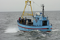 19.08.2013 12:22:39
Sassnitz
Ostsee 2013
Ostsee-Fotos