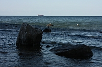 20.08.2013 16:44:08
Kap Arkona
Ostsee 2013
Ostsee-Fotos