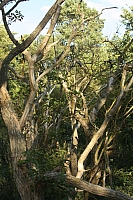 20.08.2013 17:44:59
Kap Arkona
Ostsee 2013
Ostsee-Fotos