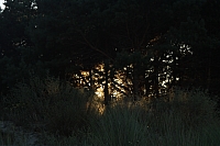 23.08.2013 19:21:29
Rügen
Ostsee 2013
Ostsee-Fotos