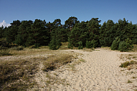 25.08.2013 11:12:26
Strand Mukran
Ostsee 2013
Ostsee-Fotos